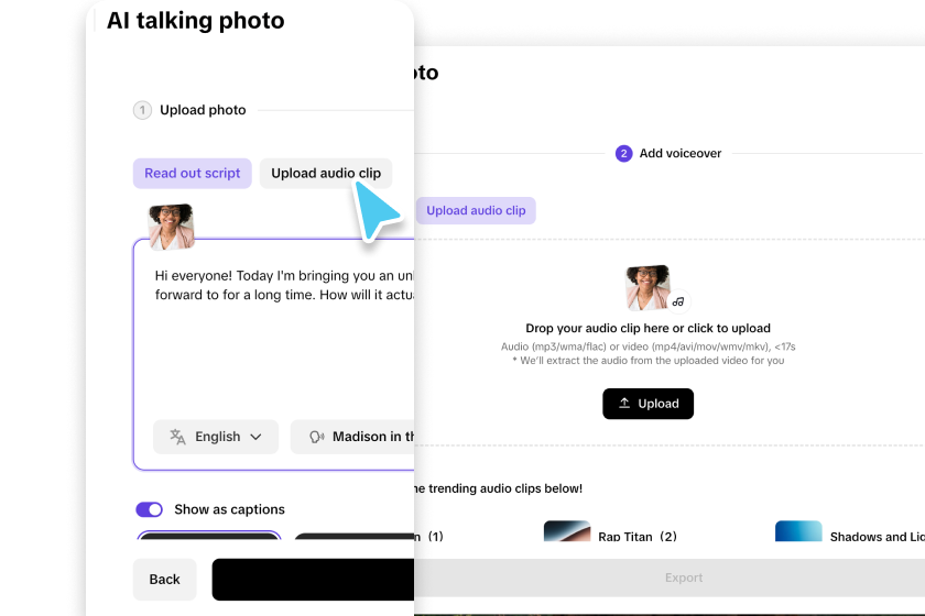 Enter script, choose language and add voice