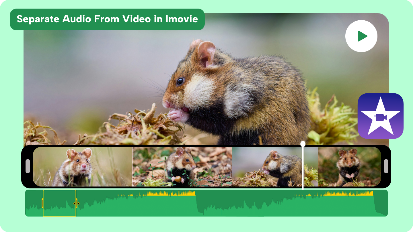 Jak oddělit zvuk od videa v imovie