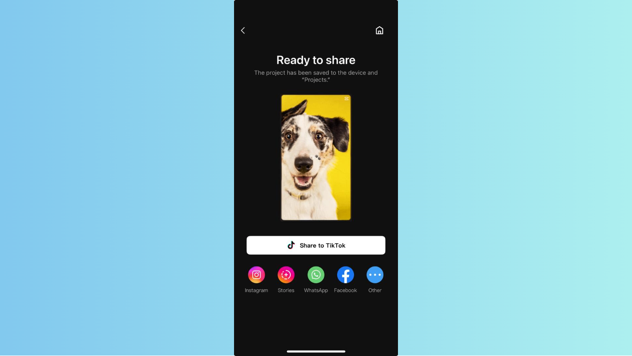 Verbessere und exportiere dein Vorlagenvideo