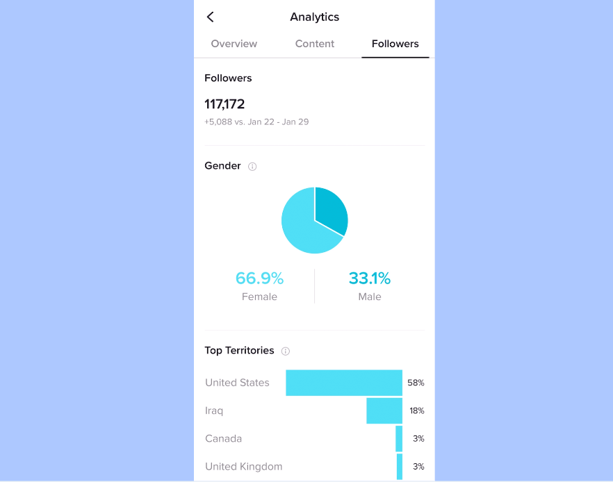 틱톡에서의 비즈니스 분석