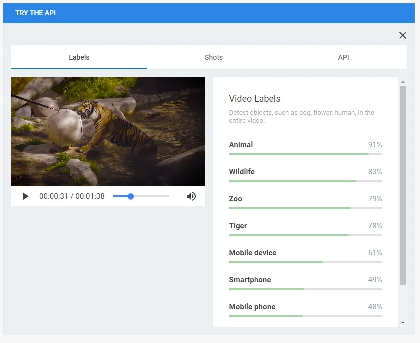 Google Cloud Video Inteligence