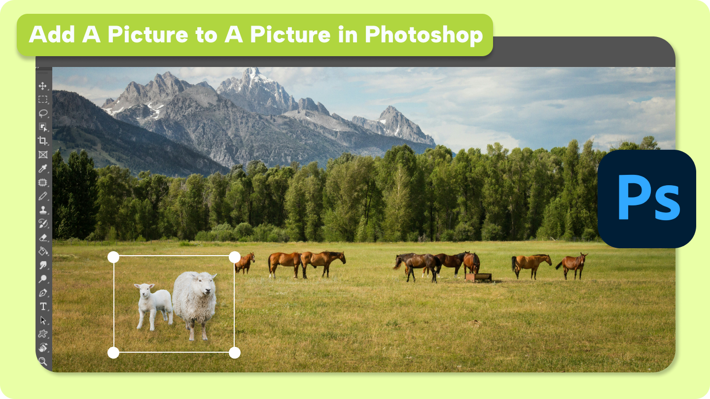 how to add a picture to a picture in photoshop