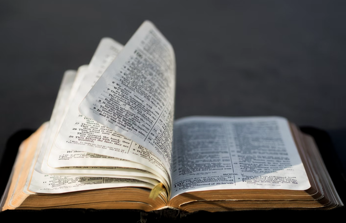 专题04 第一二讲辩证法：为什么要按辩证法办事？ | PDF, image size:1406x908