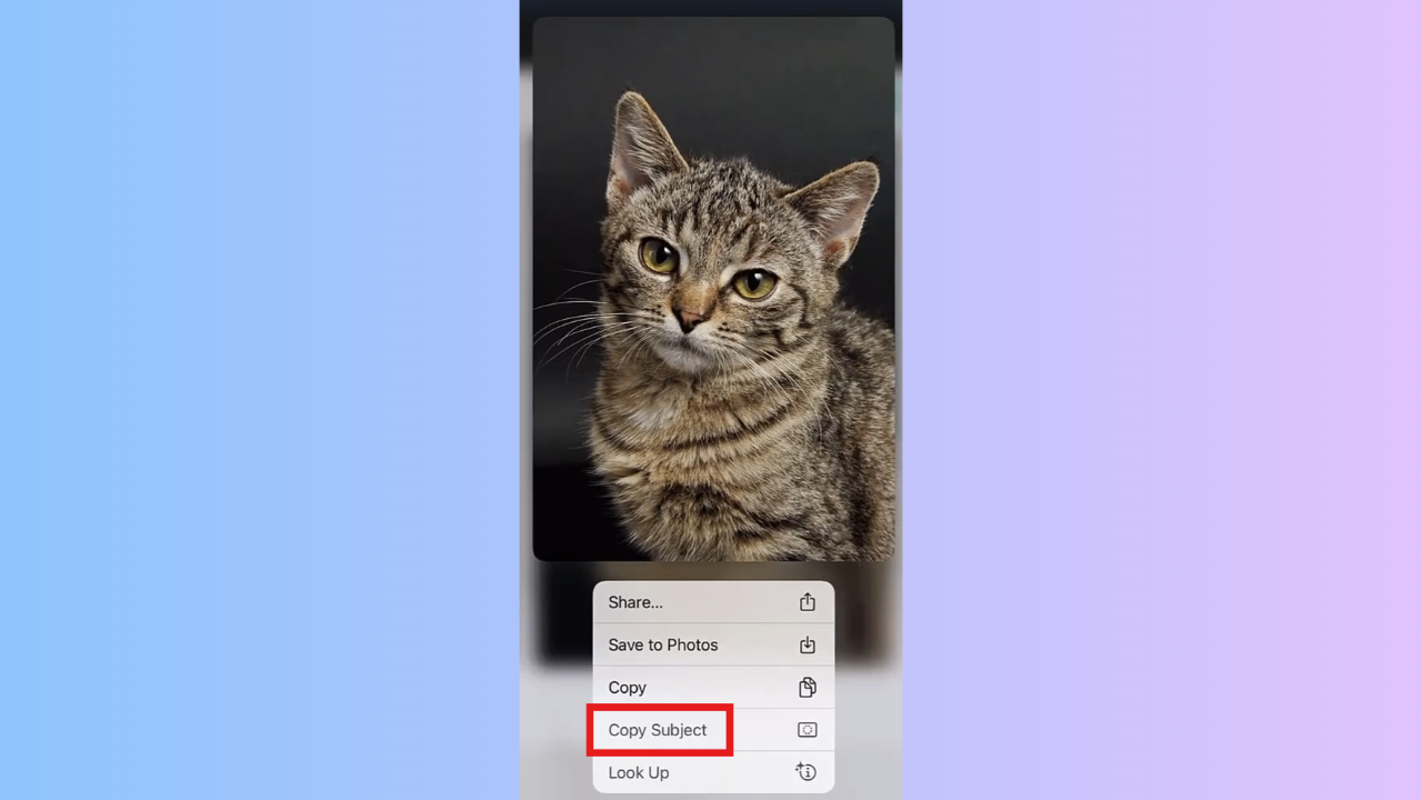 Choose "Copy Subject" from menu