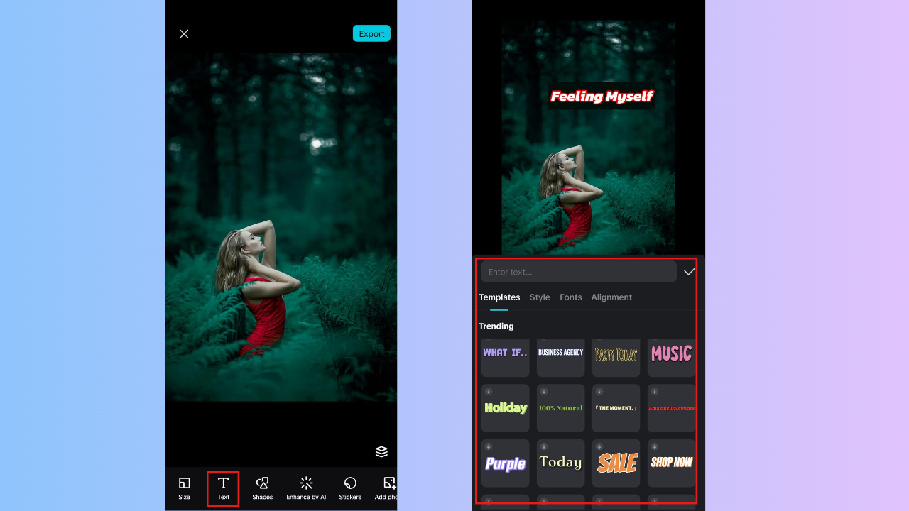 Enter text and customize