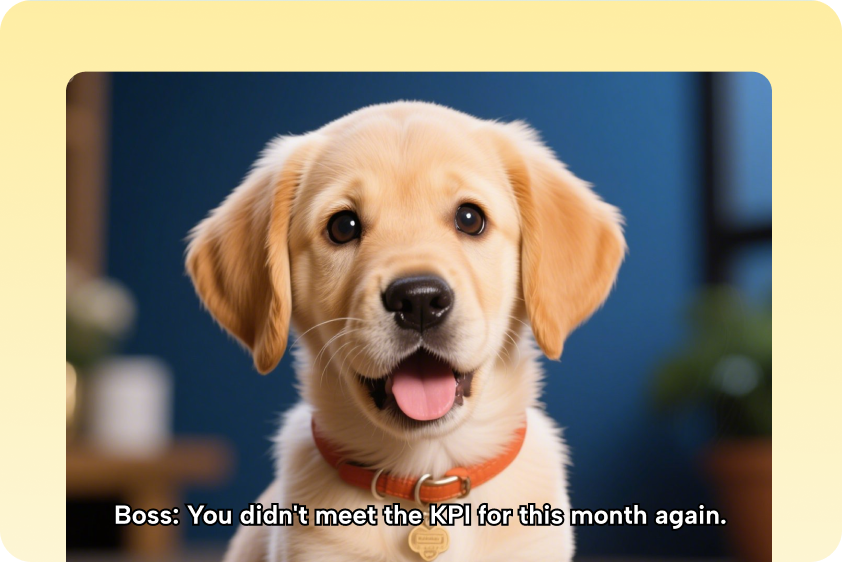 Cute pet clips and popular tunes