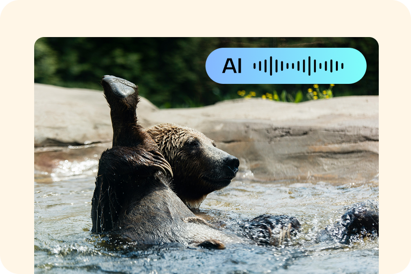  Alternate narrator account