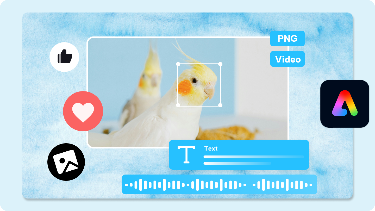 adobe express ne için kullanılır