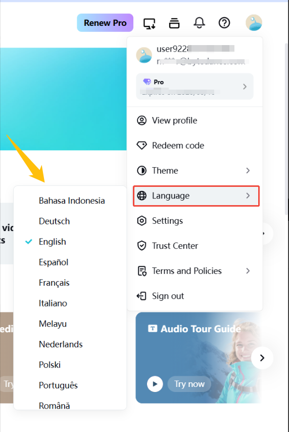 switch languages on CapCut Online