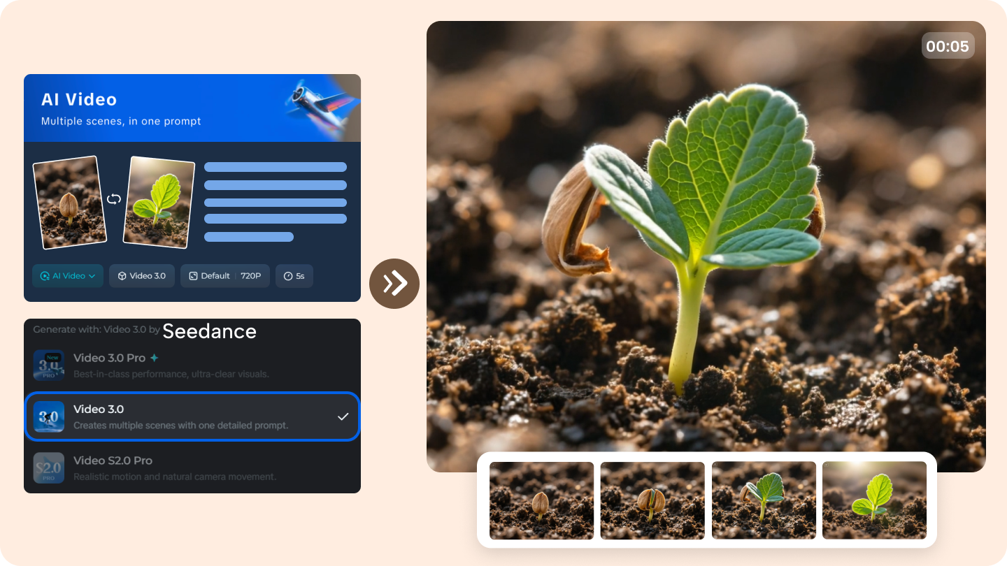 seed germination