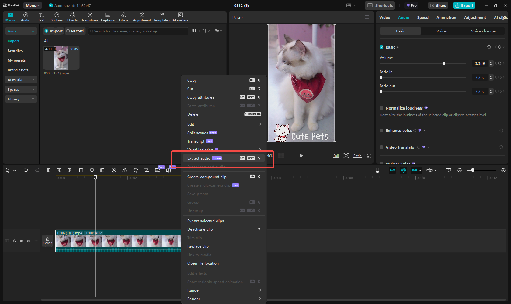 CapCut Instagram Reel 'den ses çıkarma
