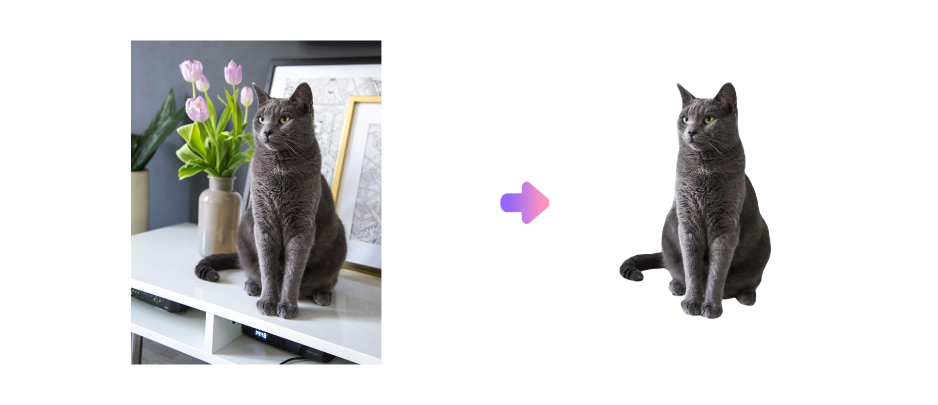 Background remover