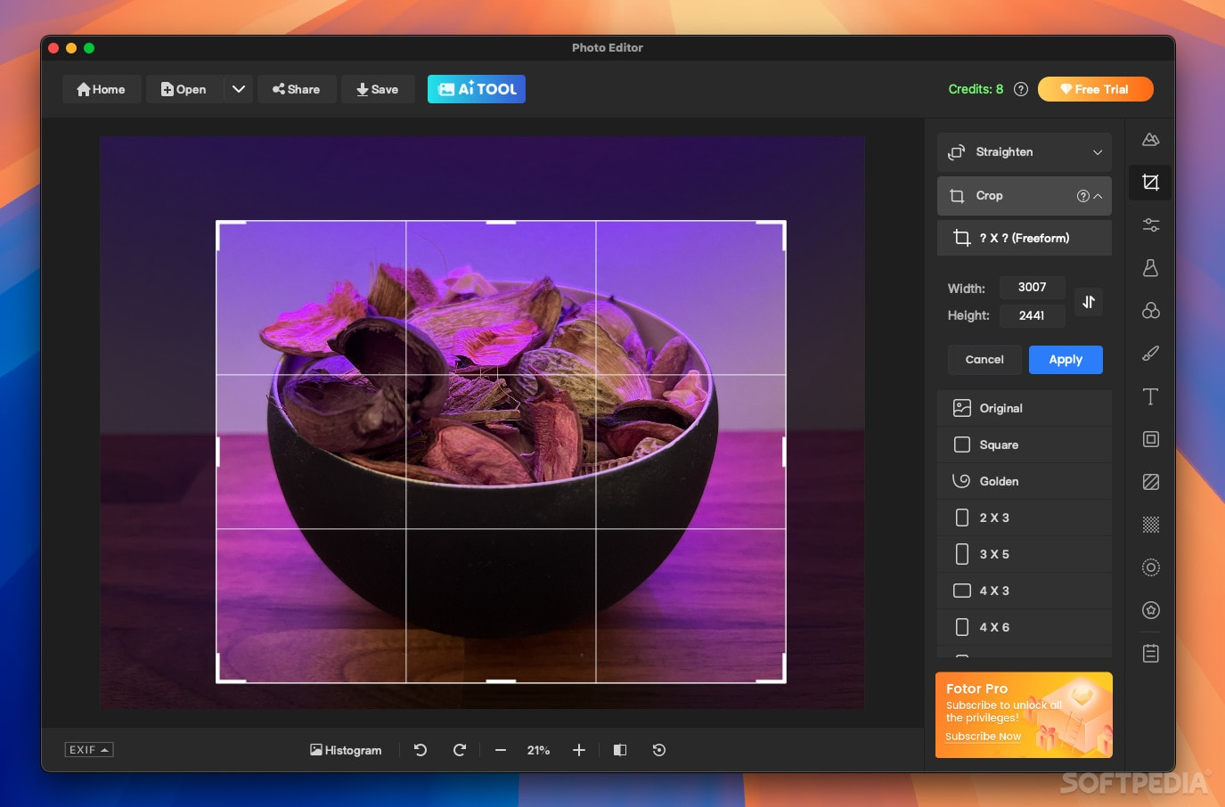 Interface of Fotor - the perfect free picture editor for Mac