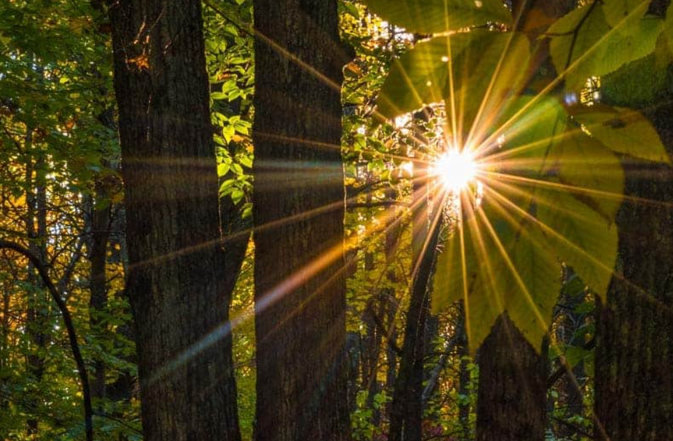 Interface of Filtered Sun