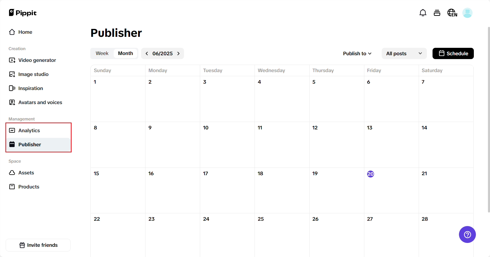 Pippit auto publisher