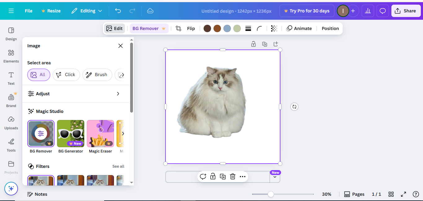 Interface of Canva - the well-known photo editor background changer online free