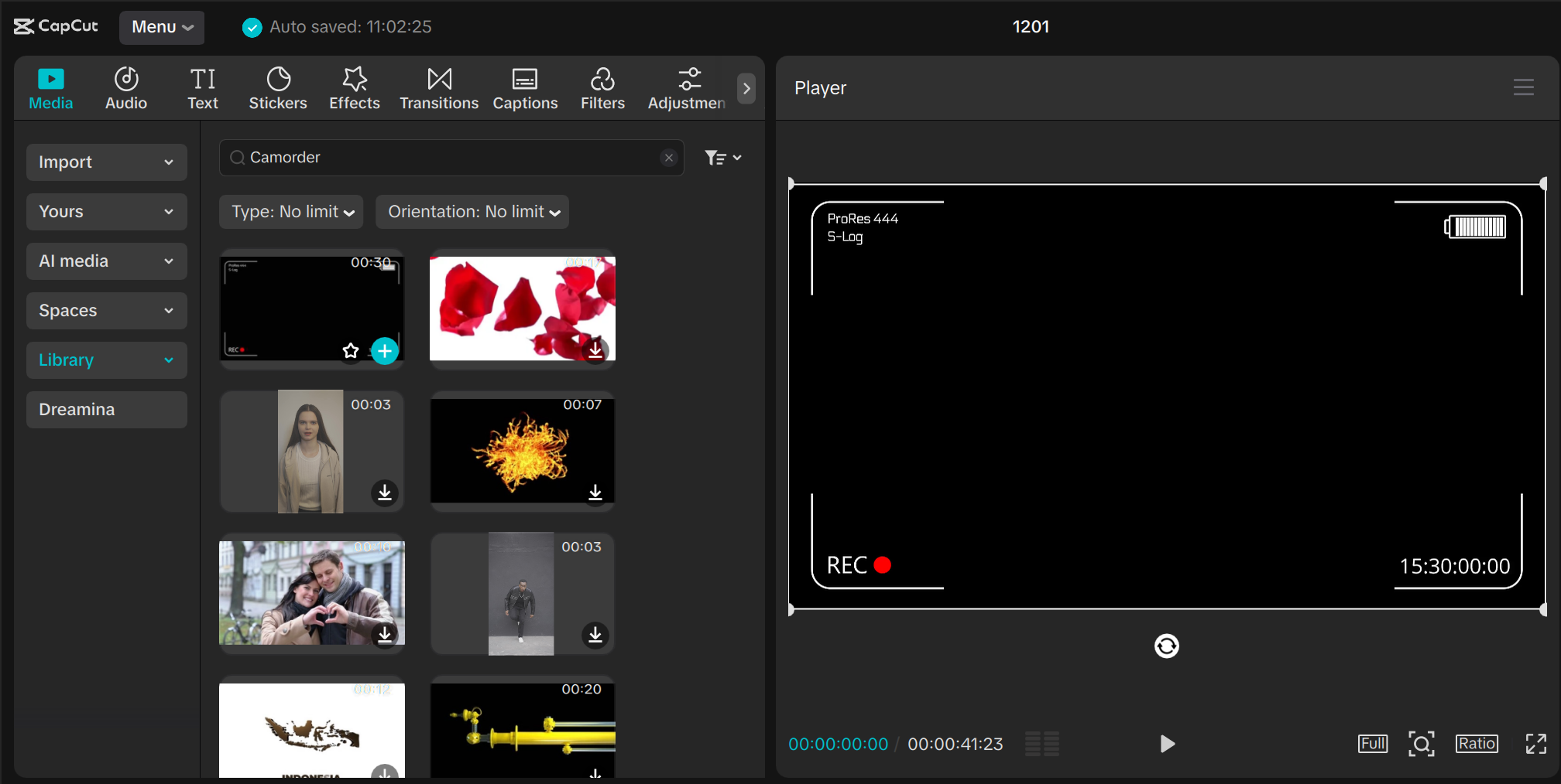 screenshot showing camcorder overlay