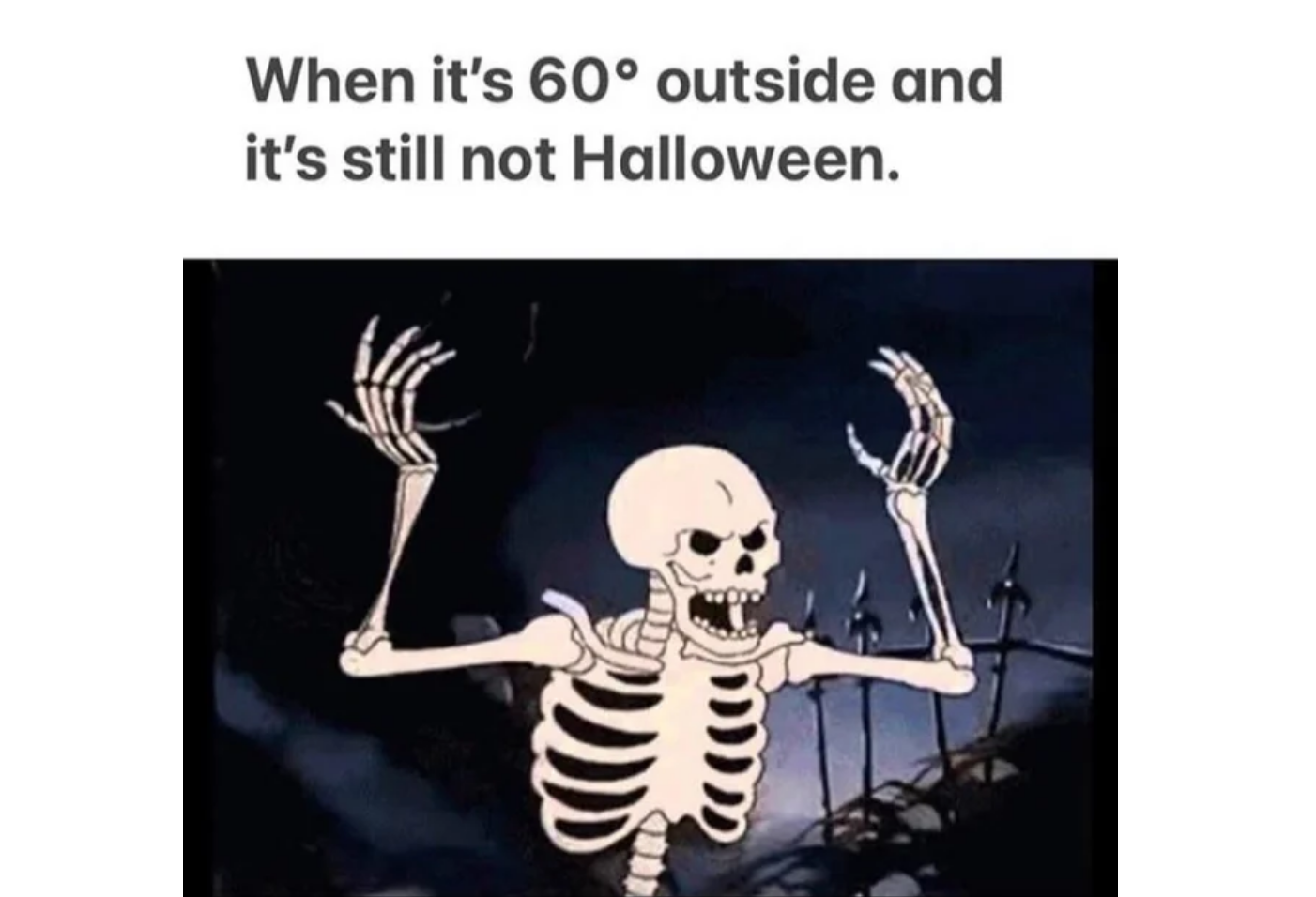 Categories of funny Halloween memes-Spooky jokes