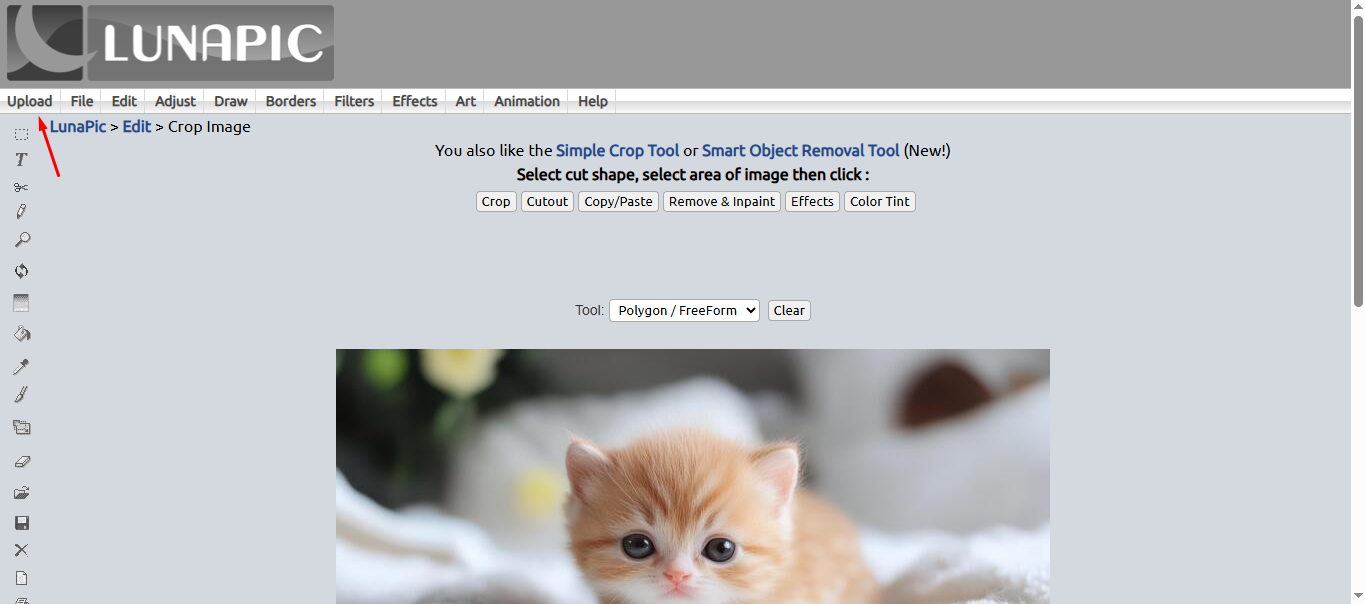Nahrávání obrázku na pozadí do editoru fotografií LunaPic
