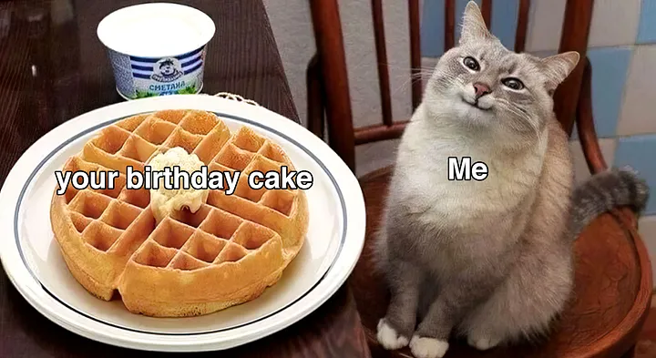 Imagen que muestra una idea divertida de meme de cumpleaños de un gato feliz con pastel