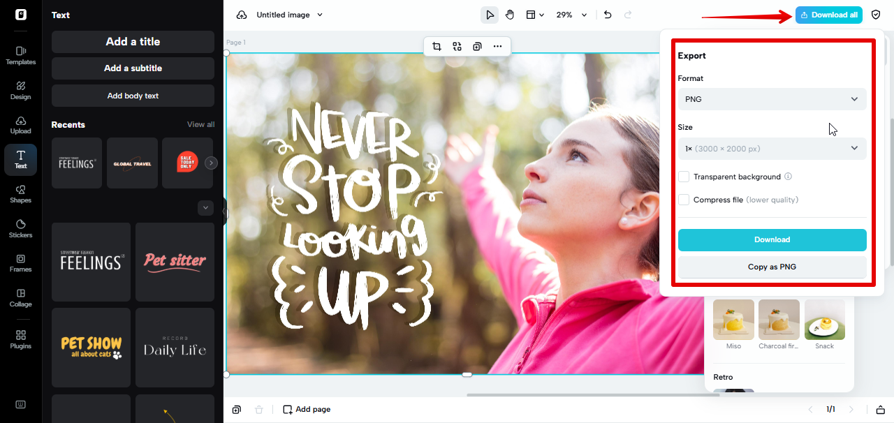 Converting image file format in Pippit