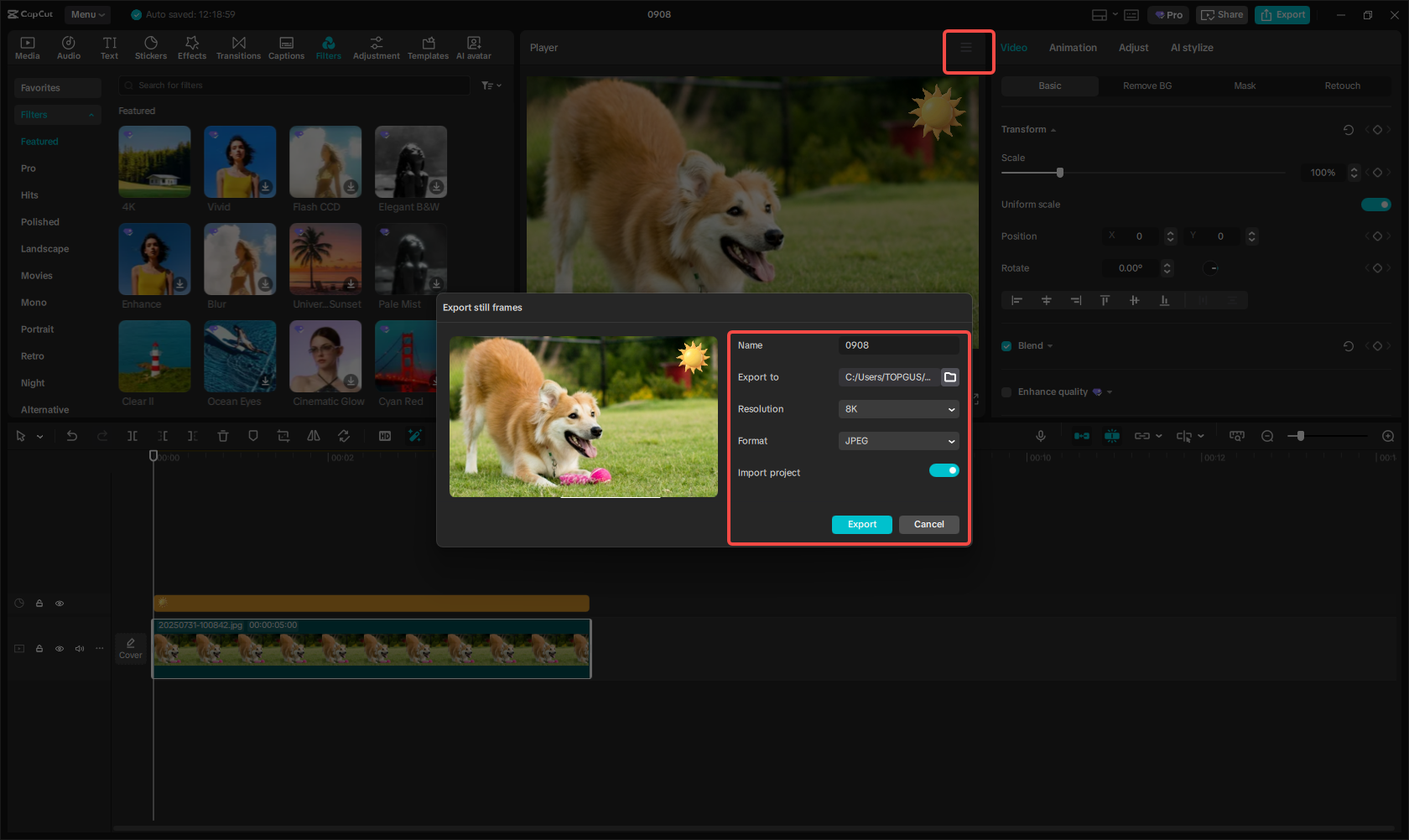 Export the image in high quality