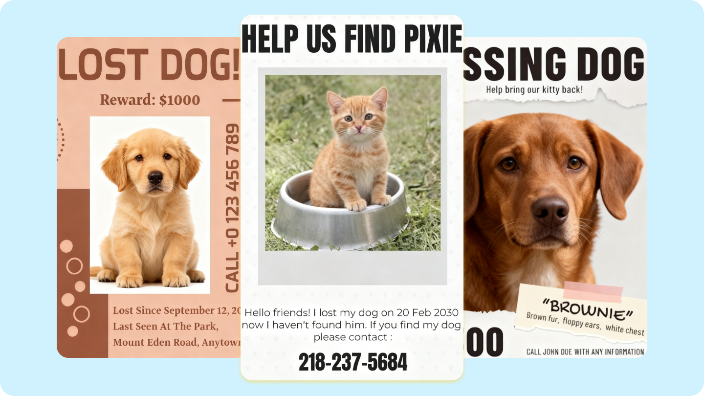 animal missing poster