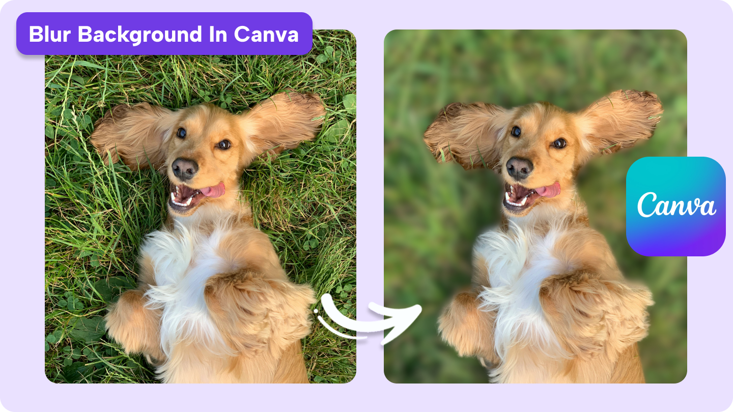 how to blur background in canva