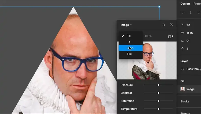 Adjust the image using crop