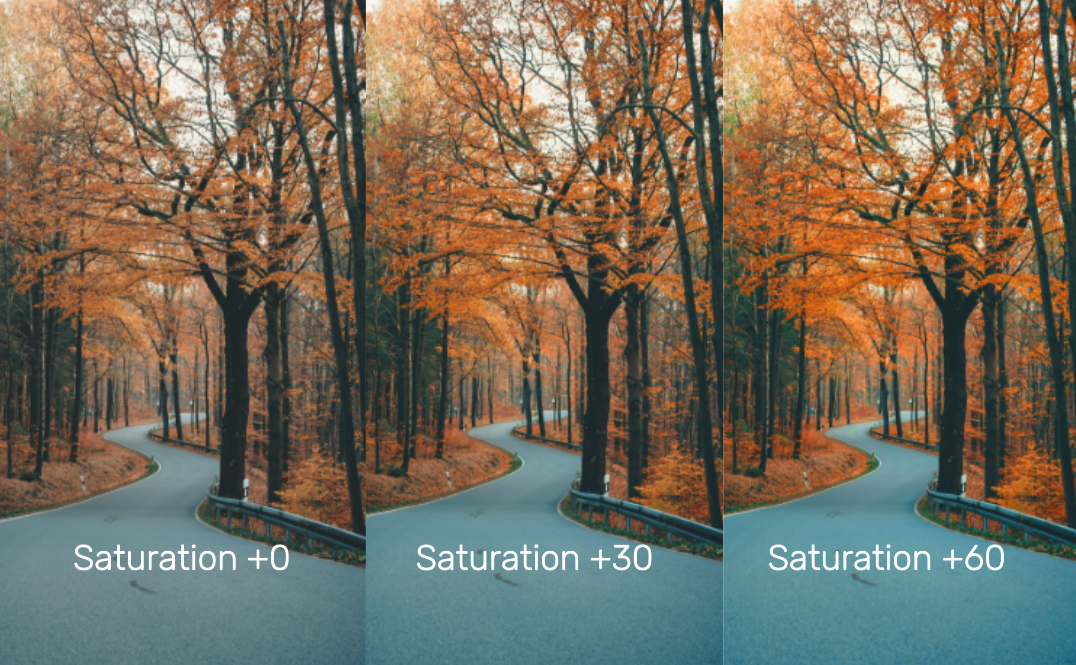 Understanding Saturation