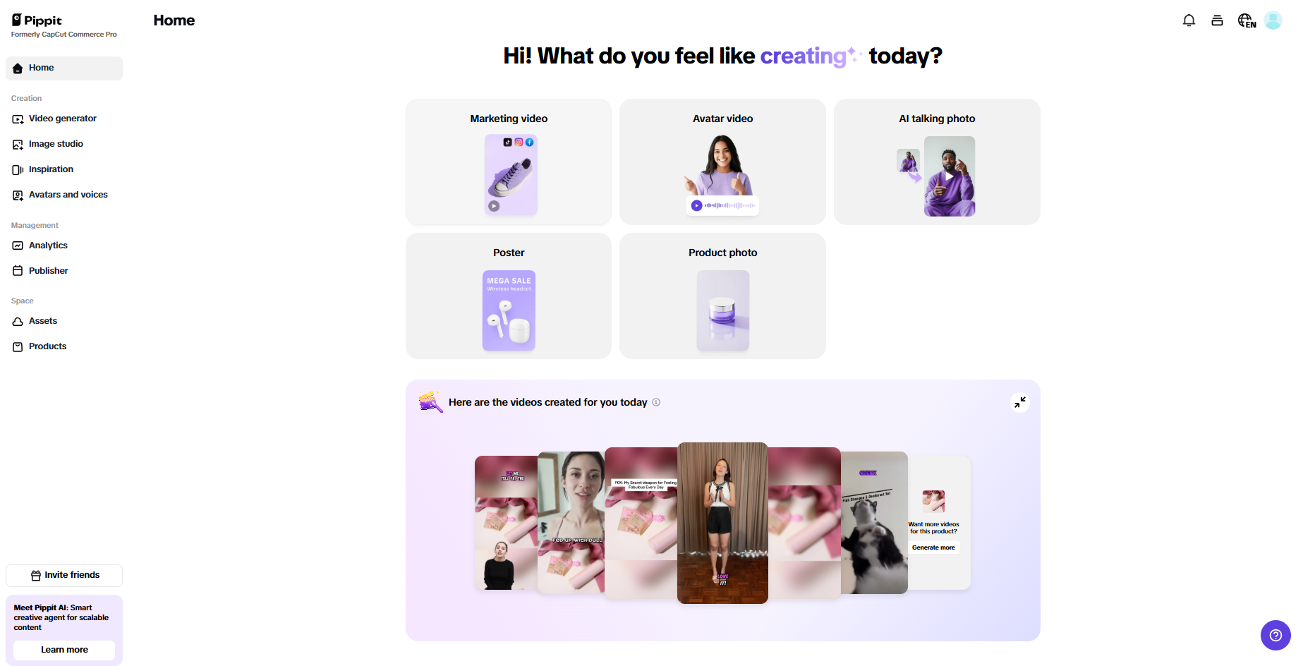 Pippit interface