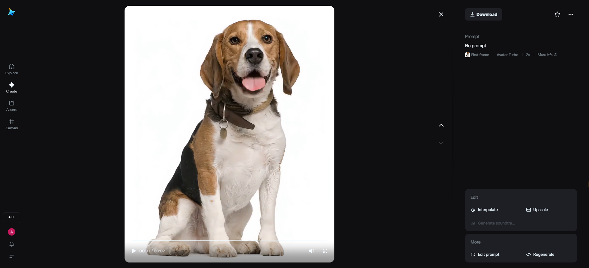 Pet product review