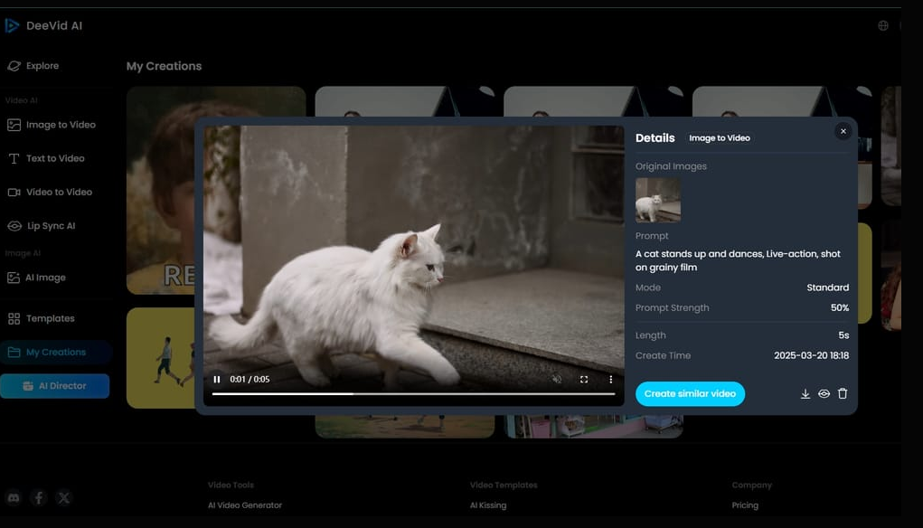 Oberfläche von DeeVid AI - ein benutzerfreundliches Tool, um Videos mit KI von Video zu Video zu konvertieren