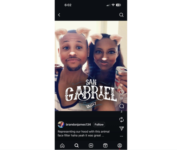 Instagram Animal swap filter