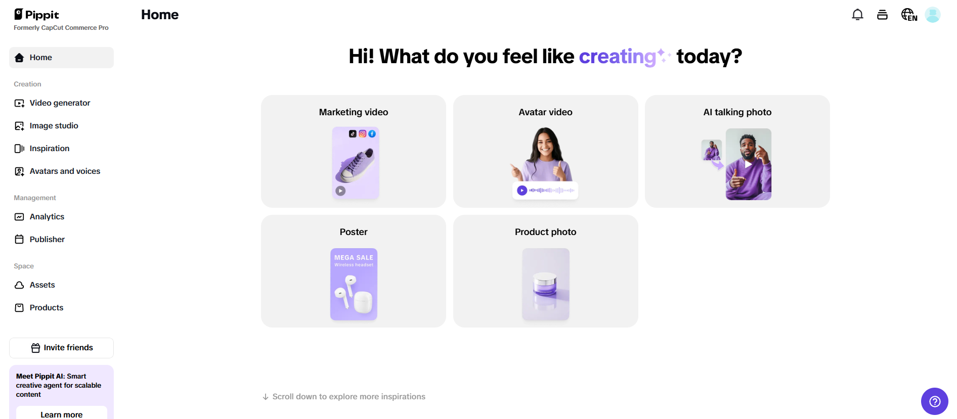 Pippit's main interface
