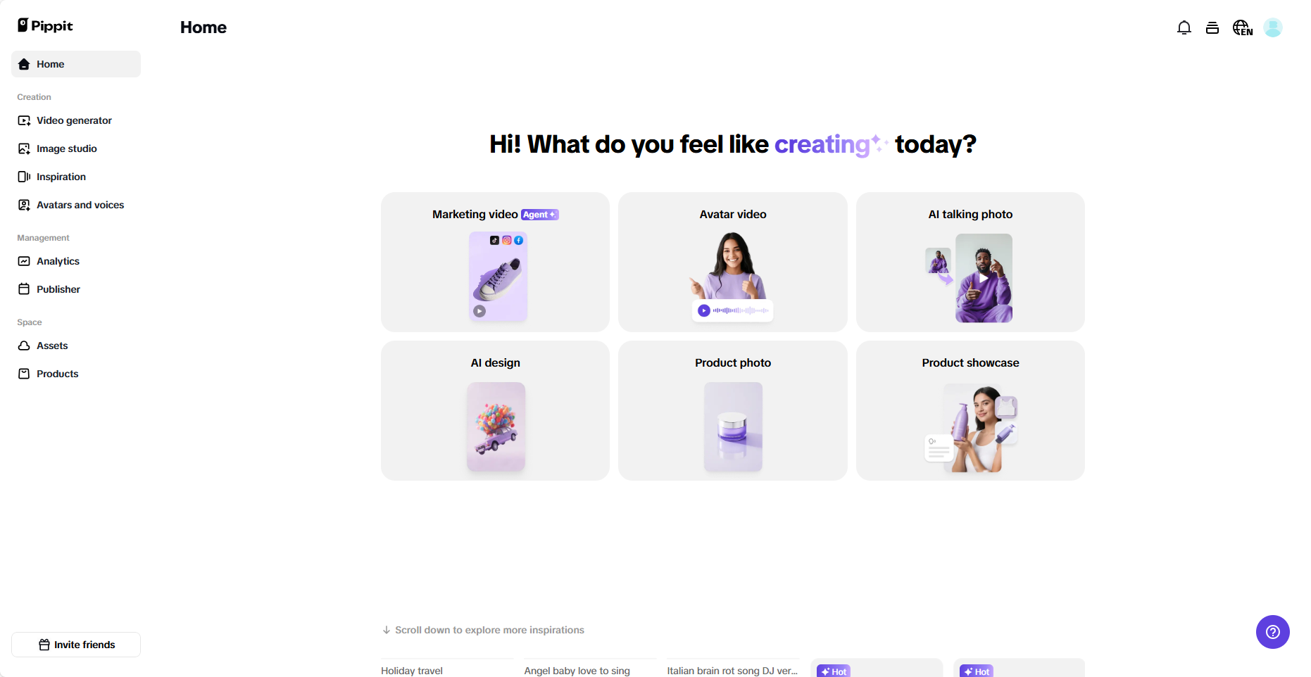 Pippit interface