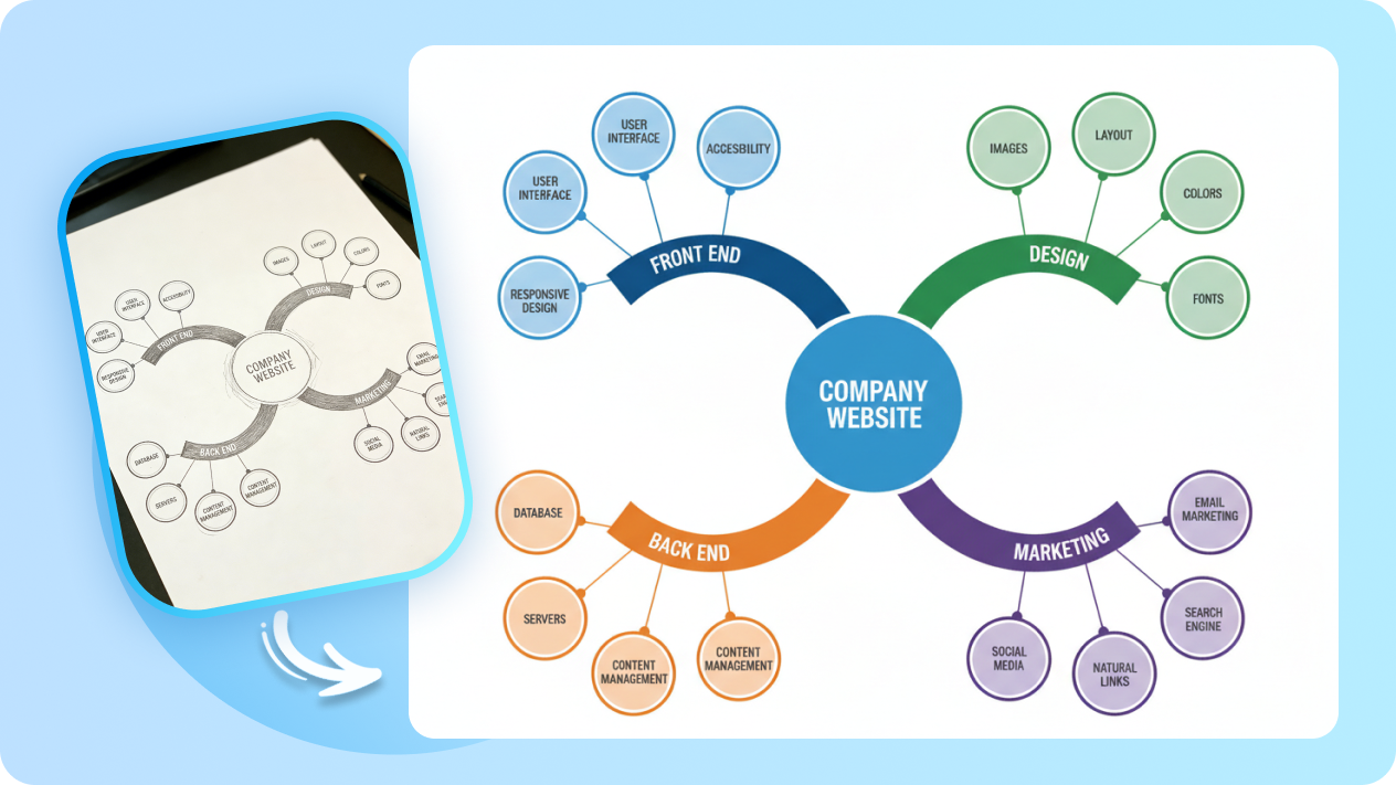 Convert sketches into polished spider web charts