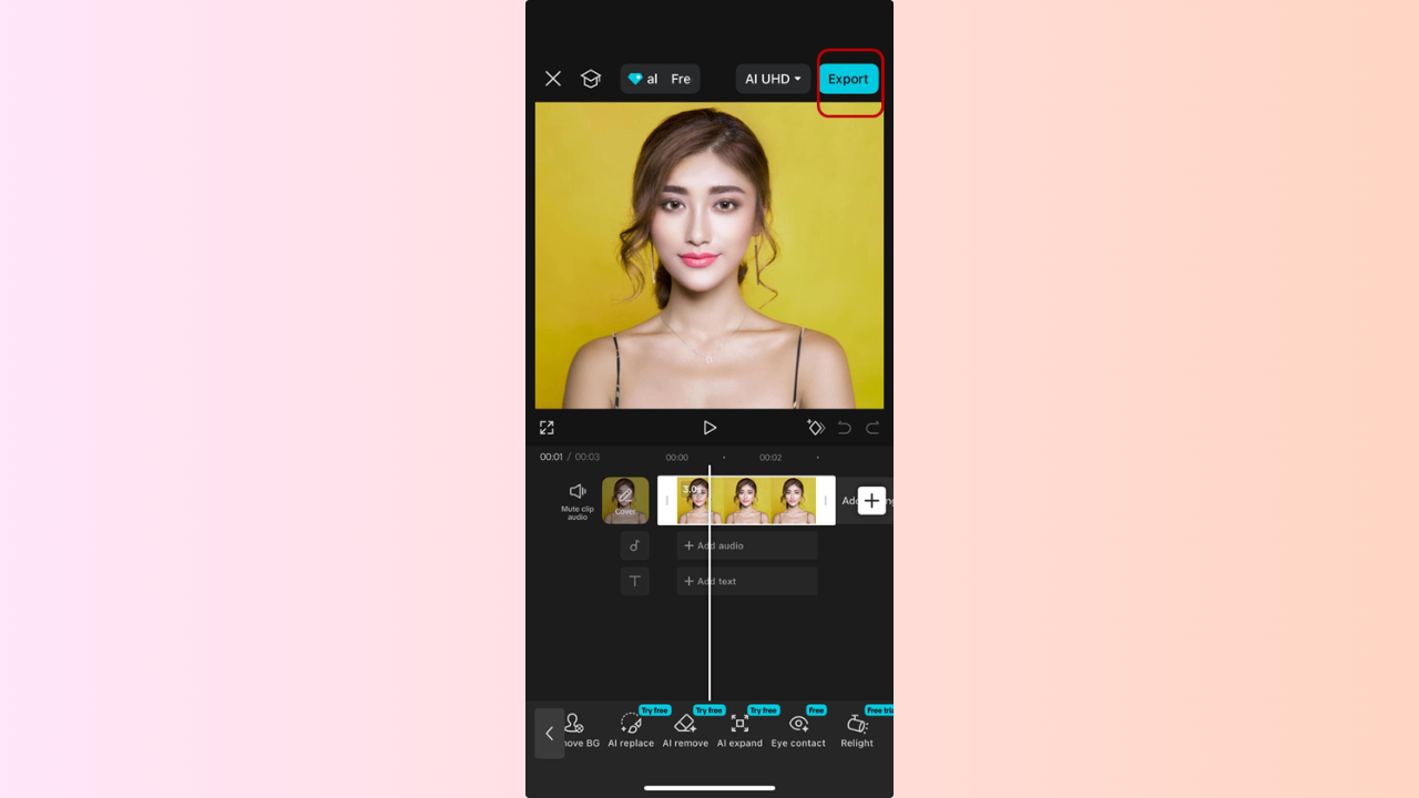 Export to Instagram