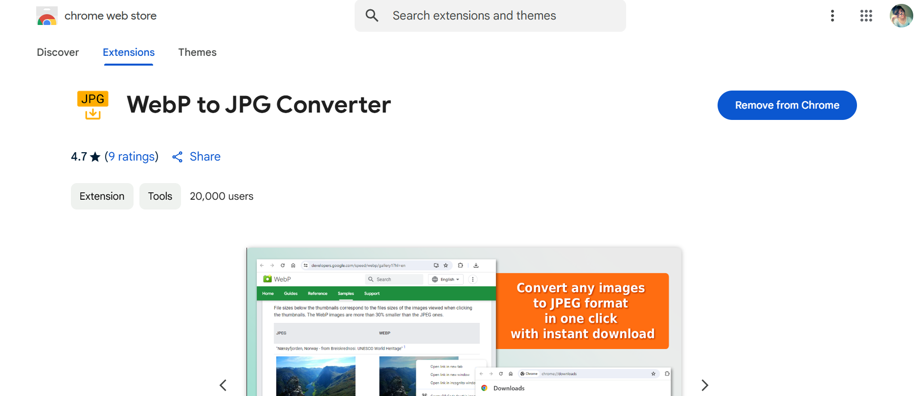 Google extension