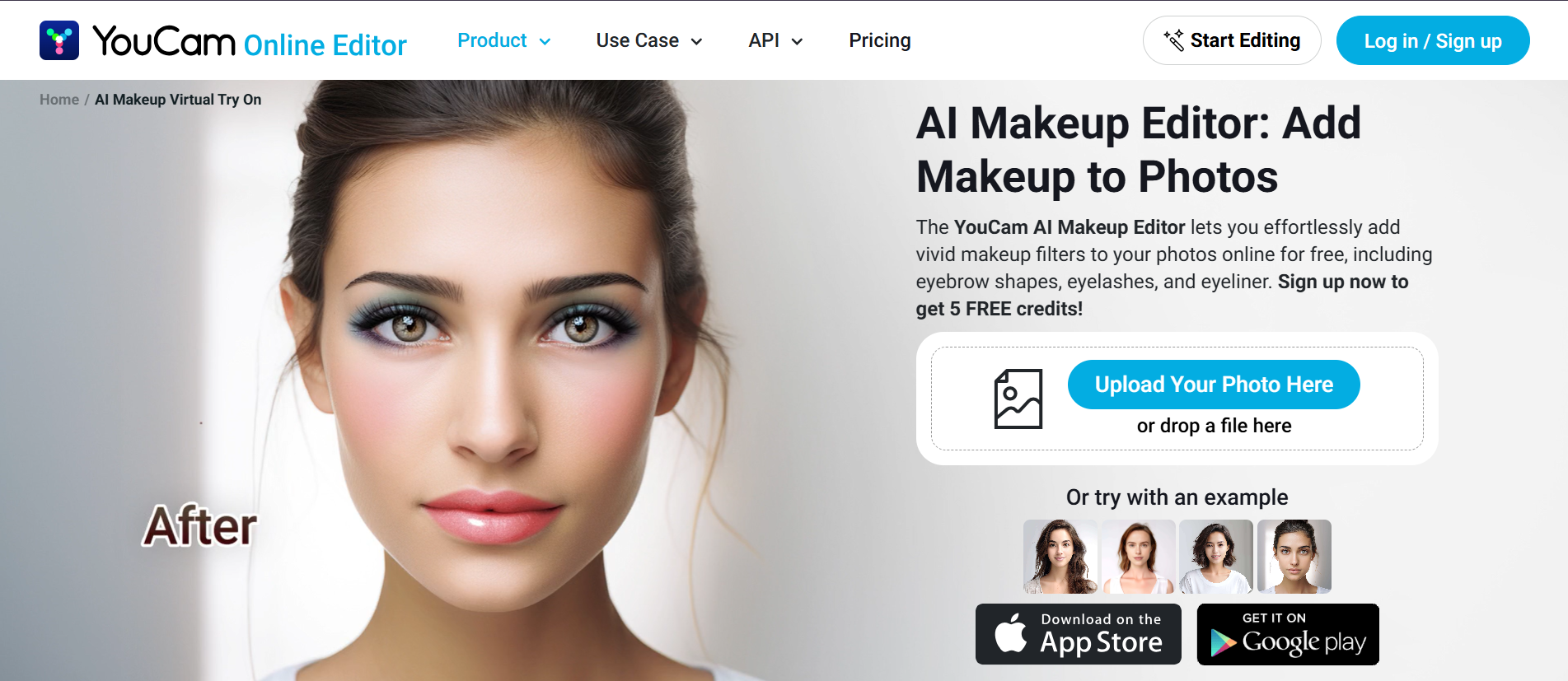 YouCam's website