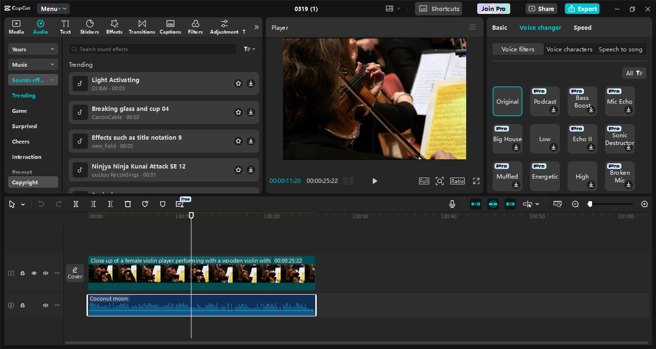 데스크톱 비디오 편집기CapCut