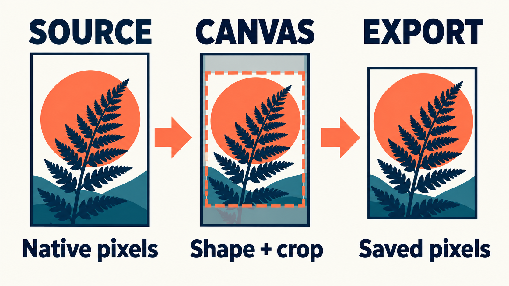 Three checkpoints distinguish native source pixels from canvas shape and saved export pixels