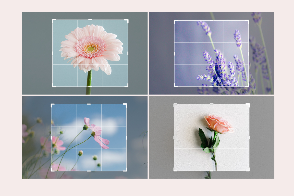 What does batch crop images mean
