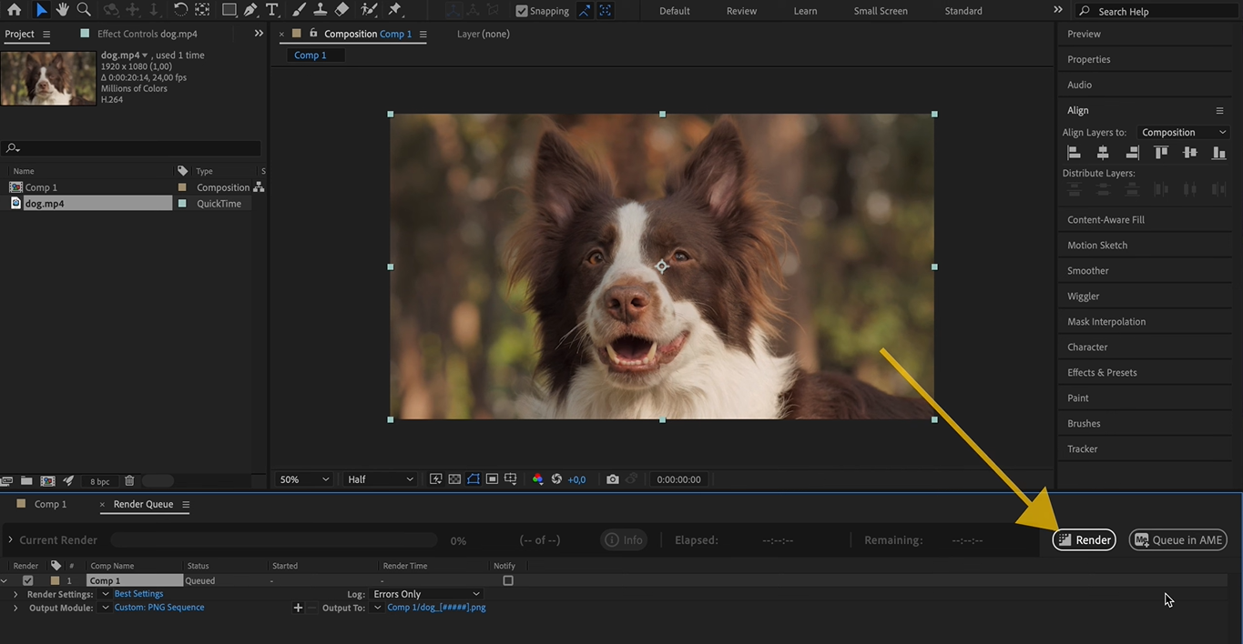 After Effects renders PNG sequence with transparency