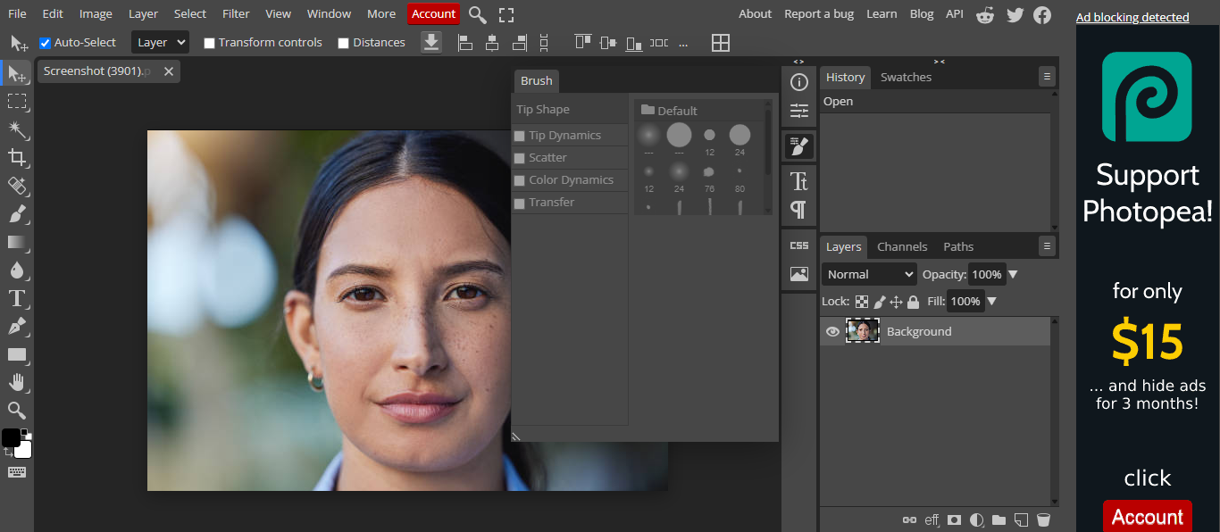Photopea interface