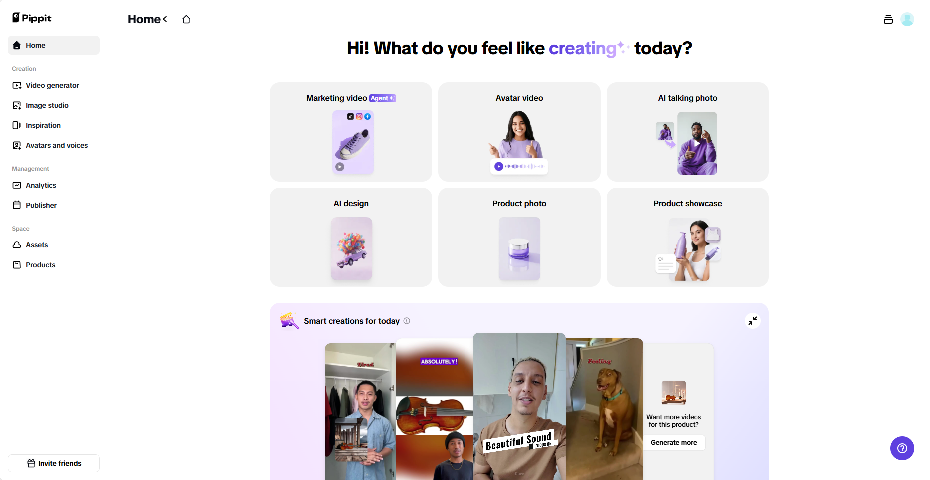 Pippit interface