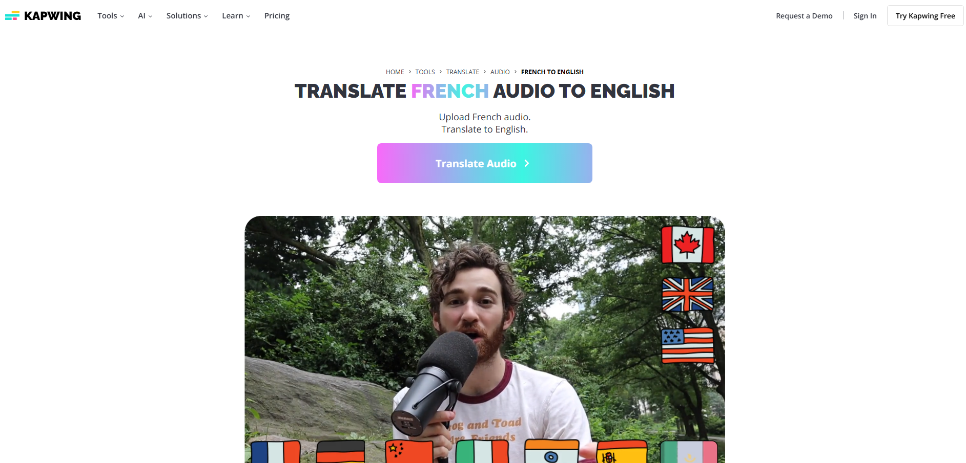 Kapwing French to English translation online