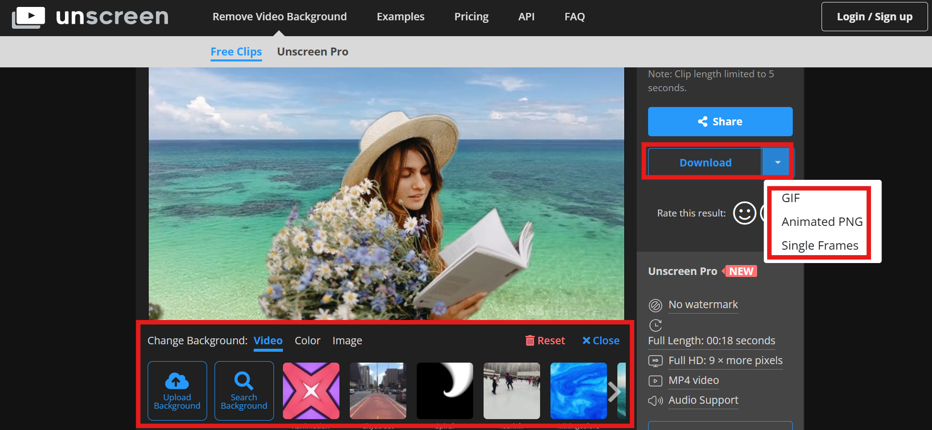 Change the video background and export video