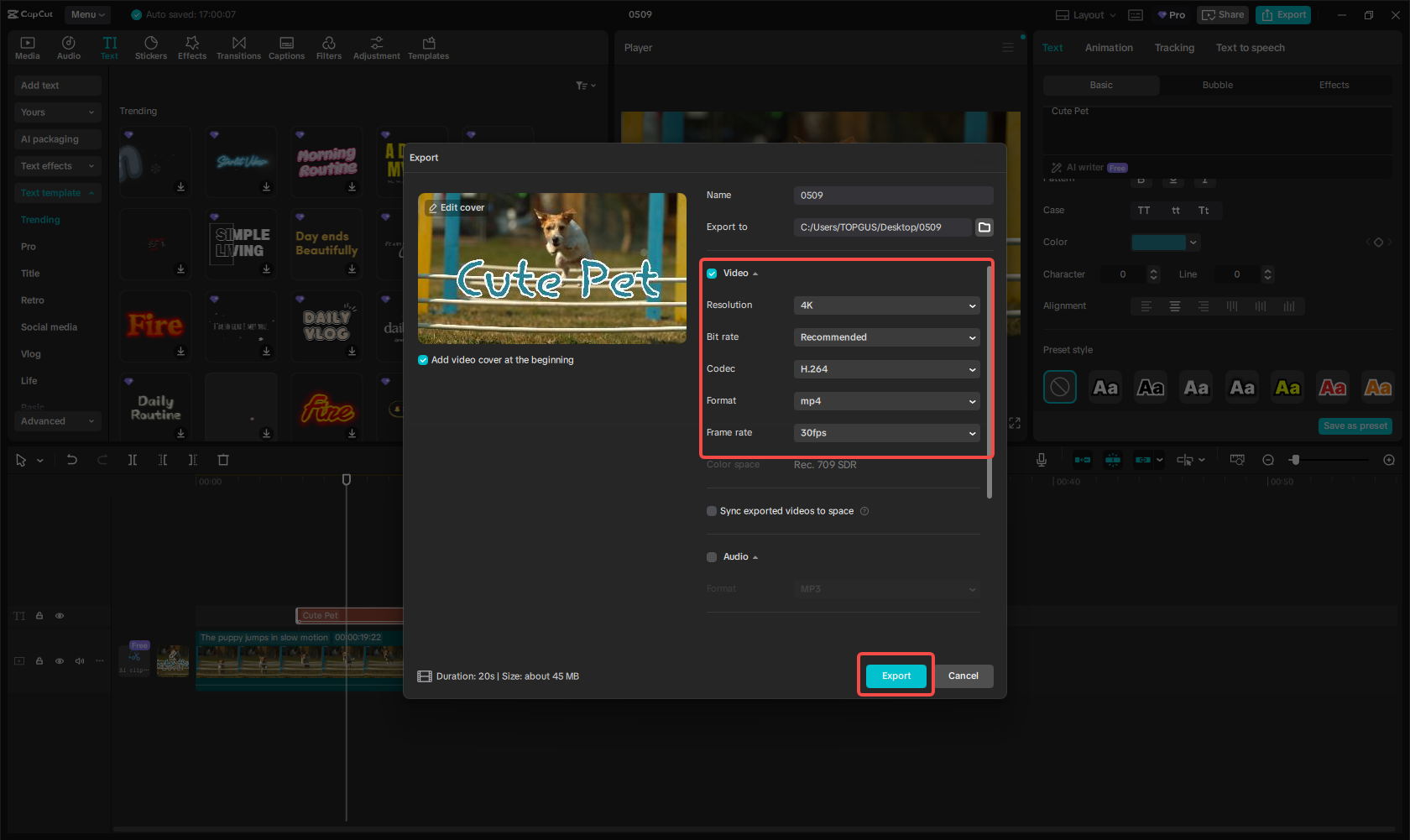 Export the text video