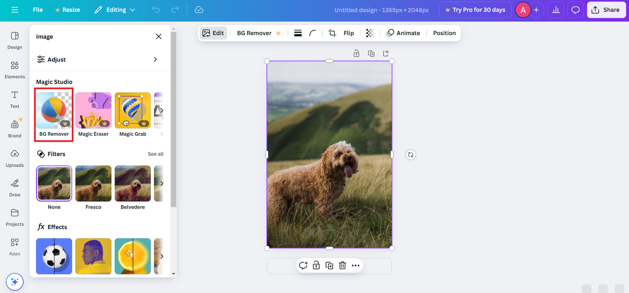 Use background remover feature in Canva